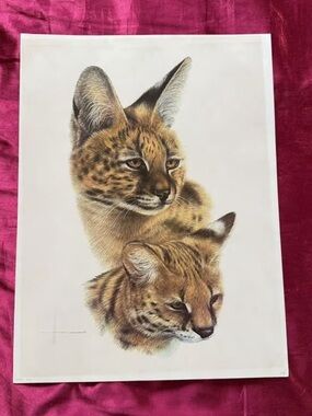 Wild Cat Portrait Print - Twin Serval Heads in Tan and Cream